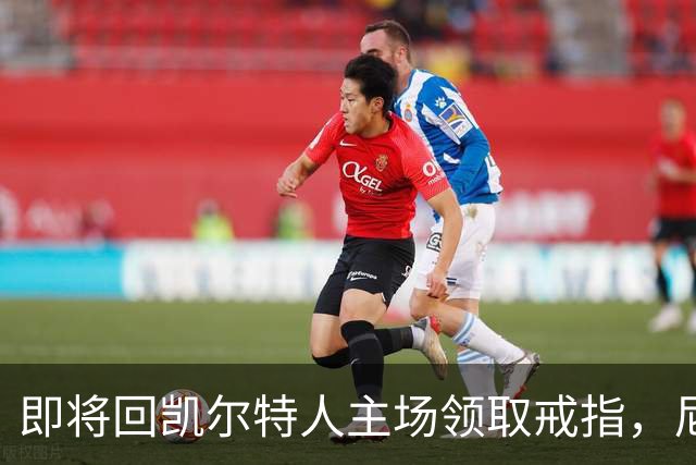 即将回凯尔特人主场领取戒指，尼克斯内线新援期望球队触底反弹？
