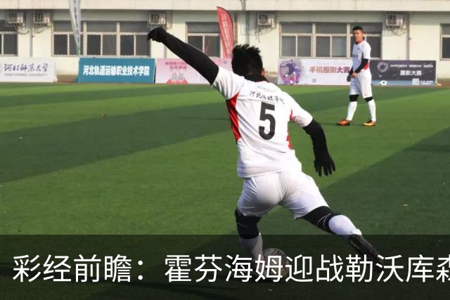 彩经前瞻：霍芬海姆迎战勒沃库森，客队攻势占优，看好药厂胜