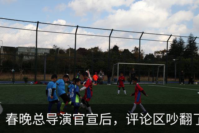 春晚总导演官宣后，评论区吵翻了，本山大叔的话，含金量还在上升