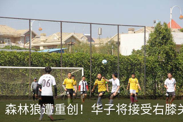 森林狼遭重创！华子将接受右膝关节镜手术 或休两个月再次无缘评奖