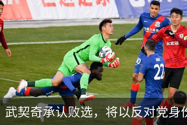 武契奇承认败选，将以反对党身份开展政治活动