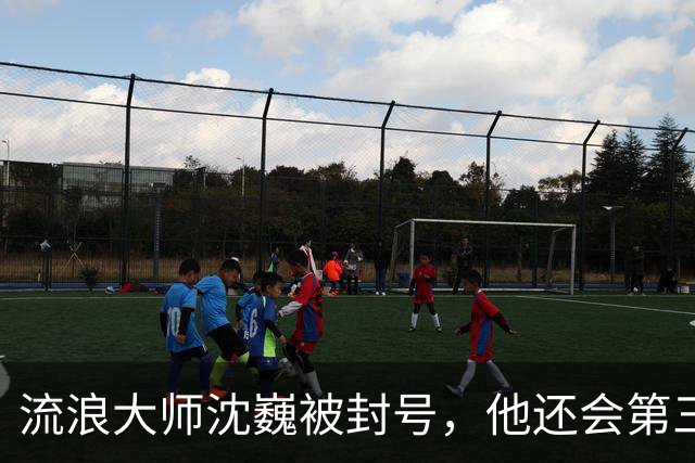 流浪大师沈巍被封号，他还会第三次复出么？