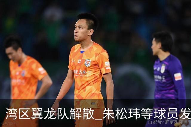 湾区翼龙队解散 朱松玮等球员发布声明维权