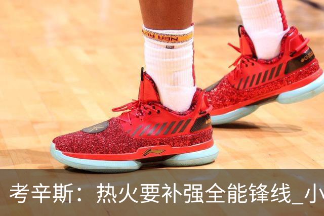 考辛斯：热火要补强全能锋线 小米切尔更适合防守尖兵定位