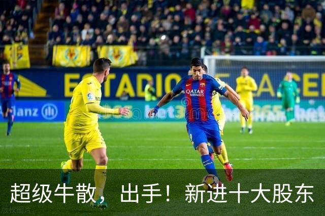 超级牛散，出手！新进十大股东