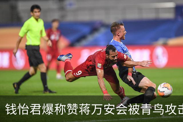 钱怡君爆称赞蒋万安会被青鸟攻击，沈富雄：一定要把沈伯洋从神坛拉下来
