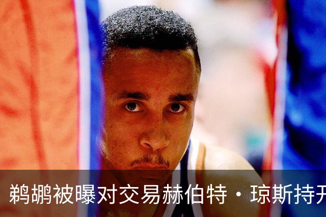 鹈鹕被曝对交易赫伯特·琼斯持开放态度，Stein辟谣：没这意愿